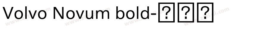 Volvo Novum bold字体转换 Volvo Novum bold字体转换